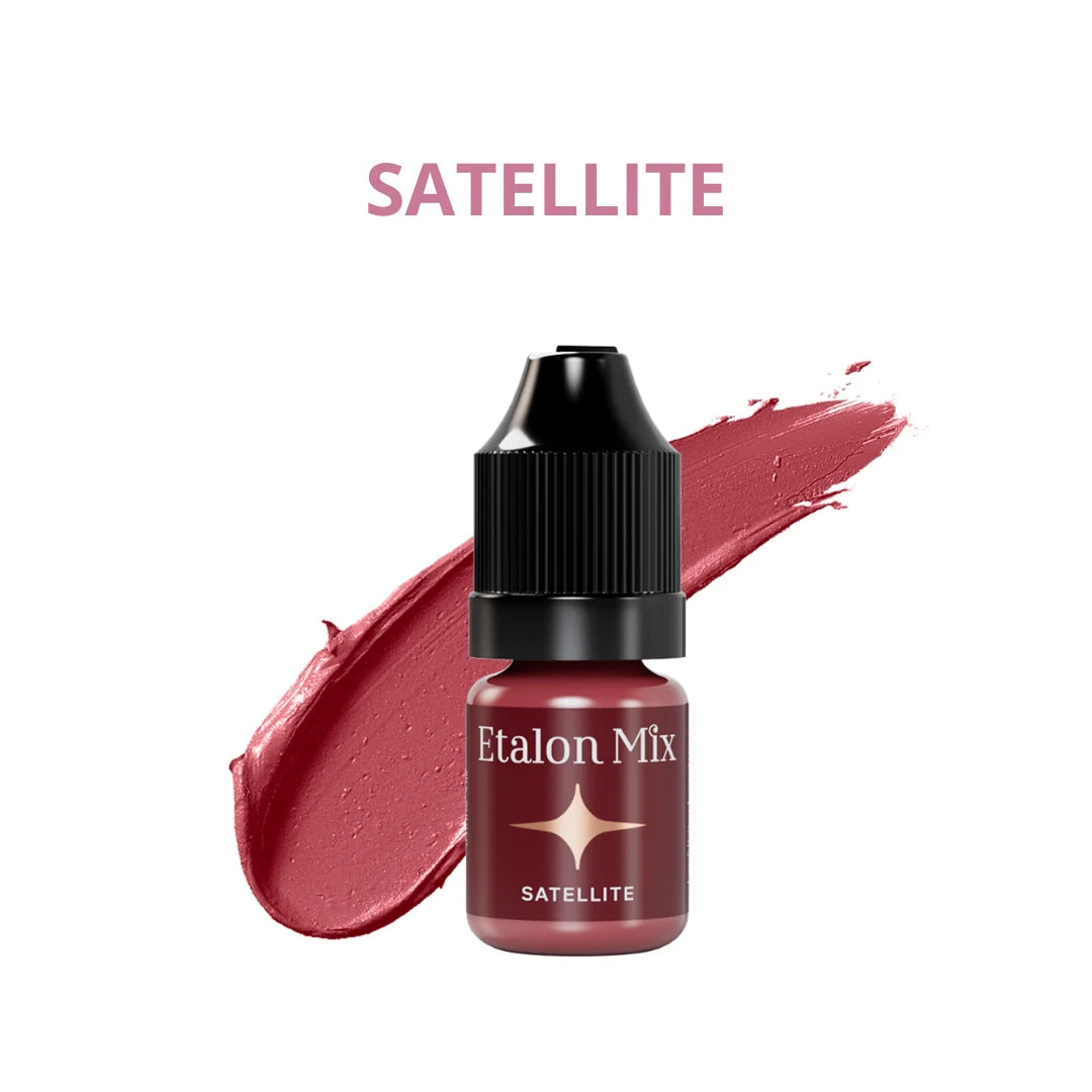 Etalon Mix Favor Satellite PMU Lippenpigment – Flakon und Farbmuster
