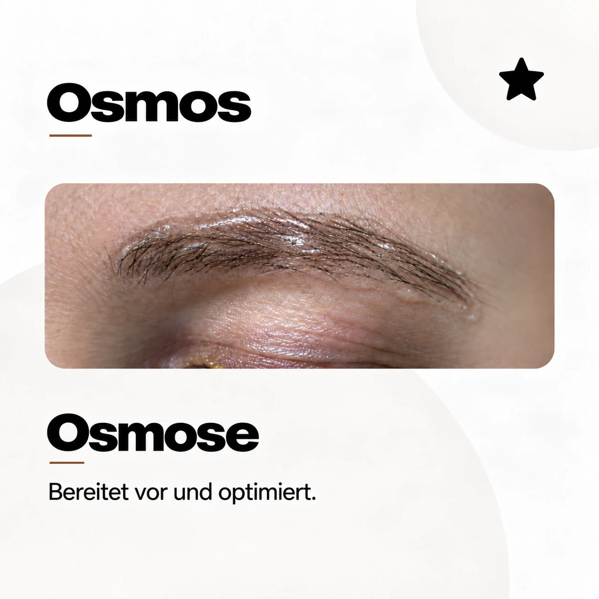 NYSE Osmos, Infografik zum vorbereitenden Produkt