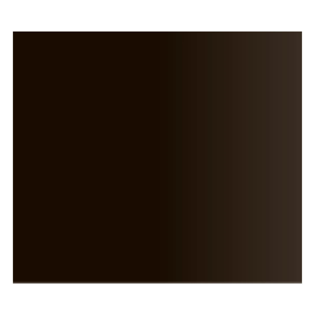 Swiss Color 207 Ebony Brown: campione della tonalità