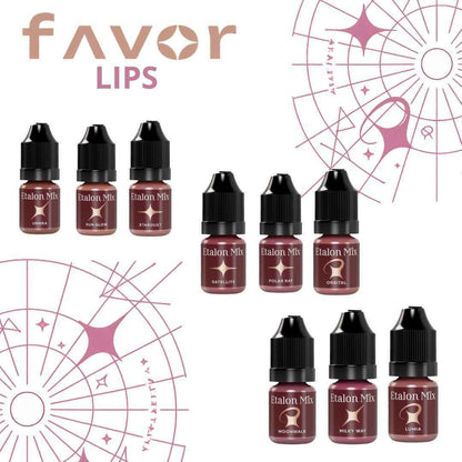 Palette Etalon Mix Favor con nove pigmenti PMU professionali per labbra