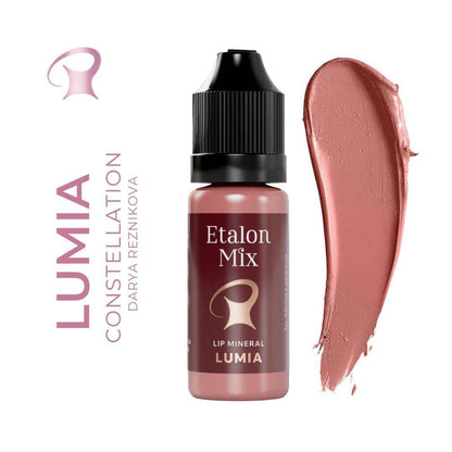 Swatch viola-marrone del pigmento PMU Etalon Mix Favor Lumia