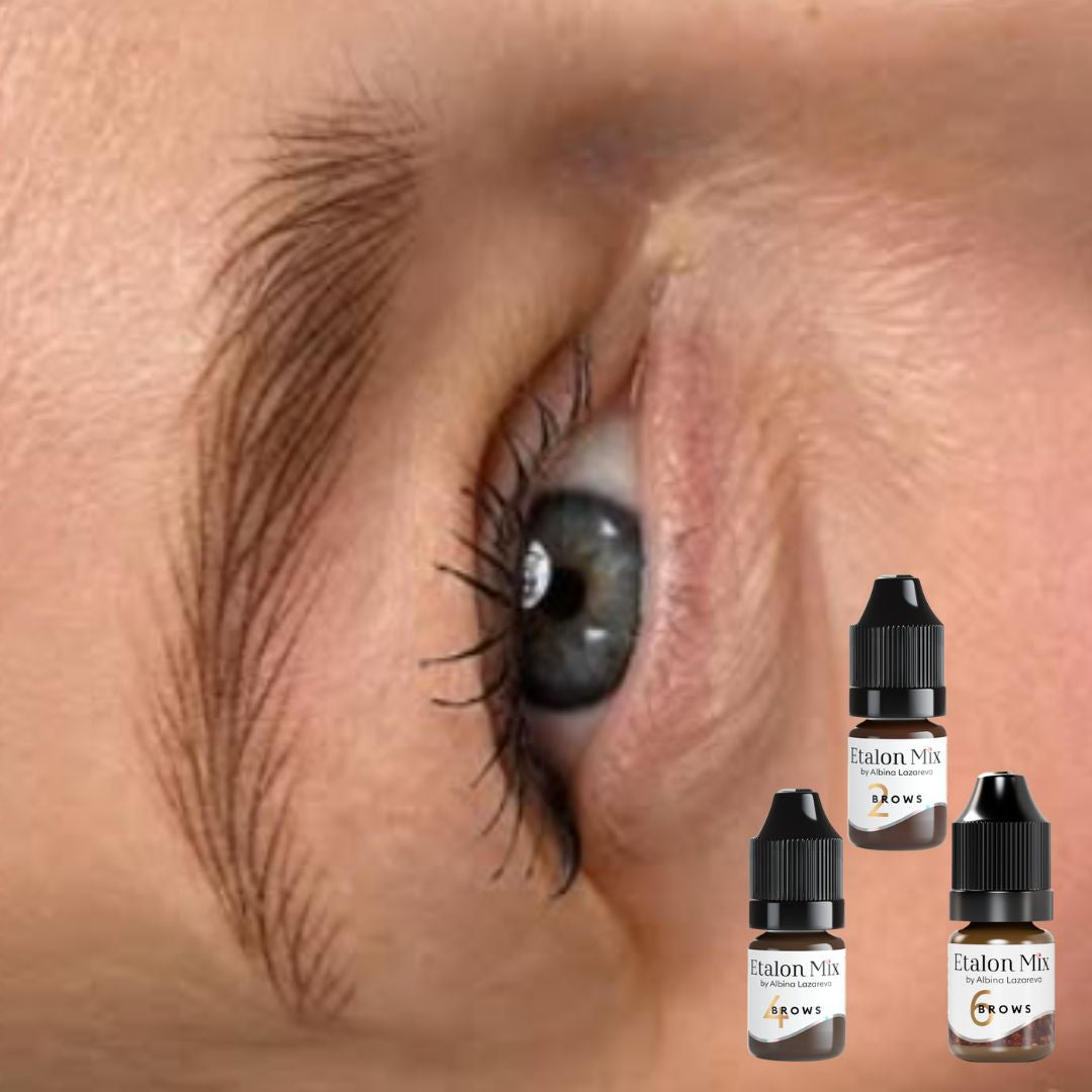Etalon Mix Milk Chocolate N°2 – für diese Referenz bereitgestelltes Augenbrauenfoto