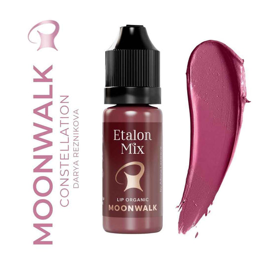 Swatch viola polveroso scuro del pigmento PMU Etalon Mix Favor Moonwalk