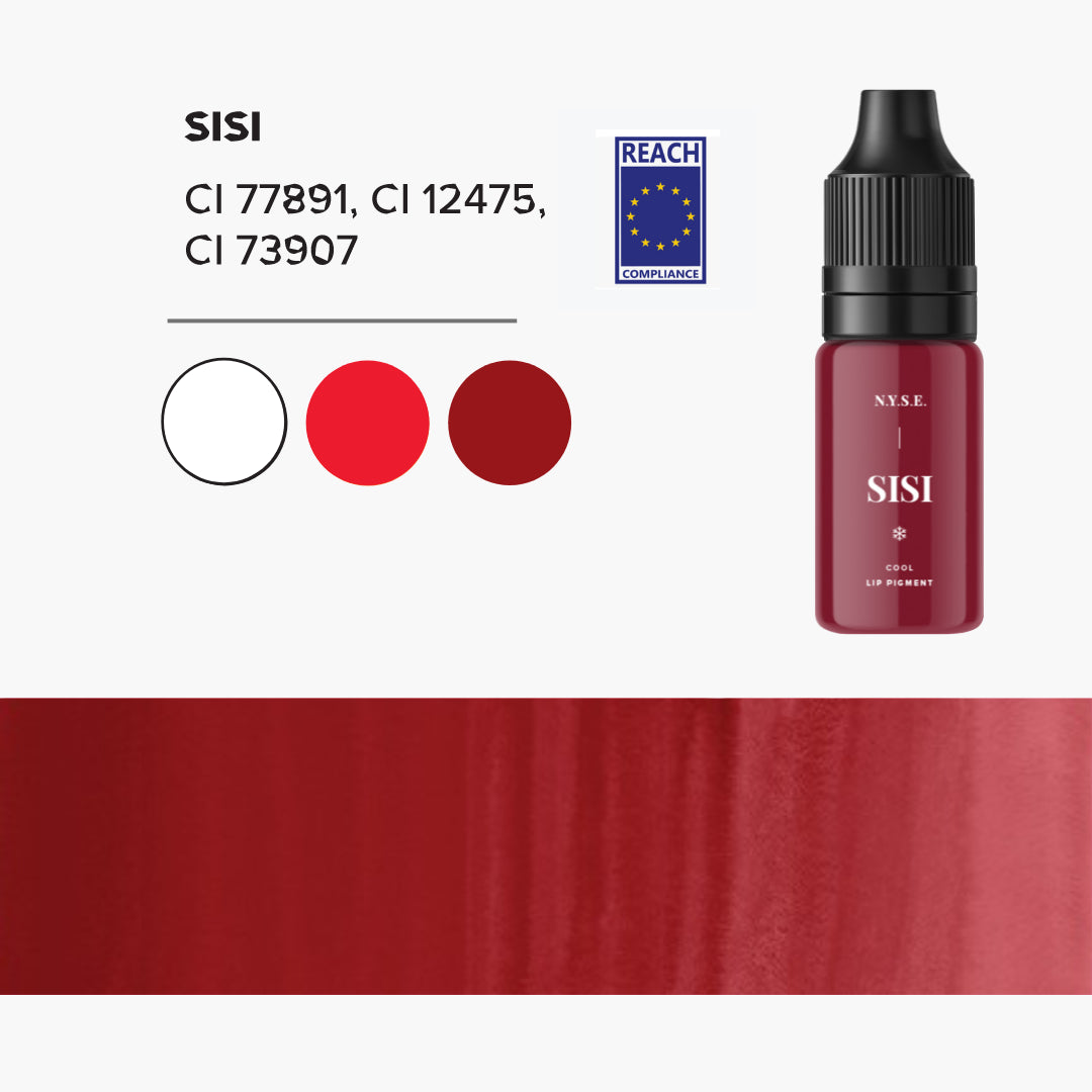 NYSE Sisi – Hybrides PMU-Lippenpigment Kühles Scharlachbraun