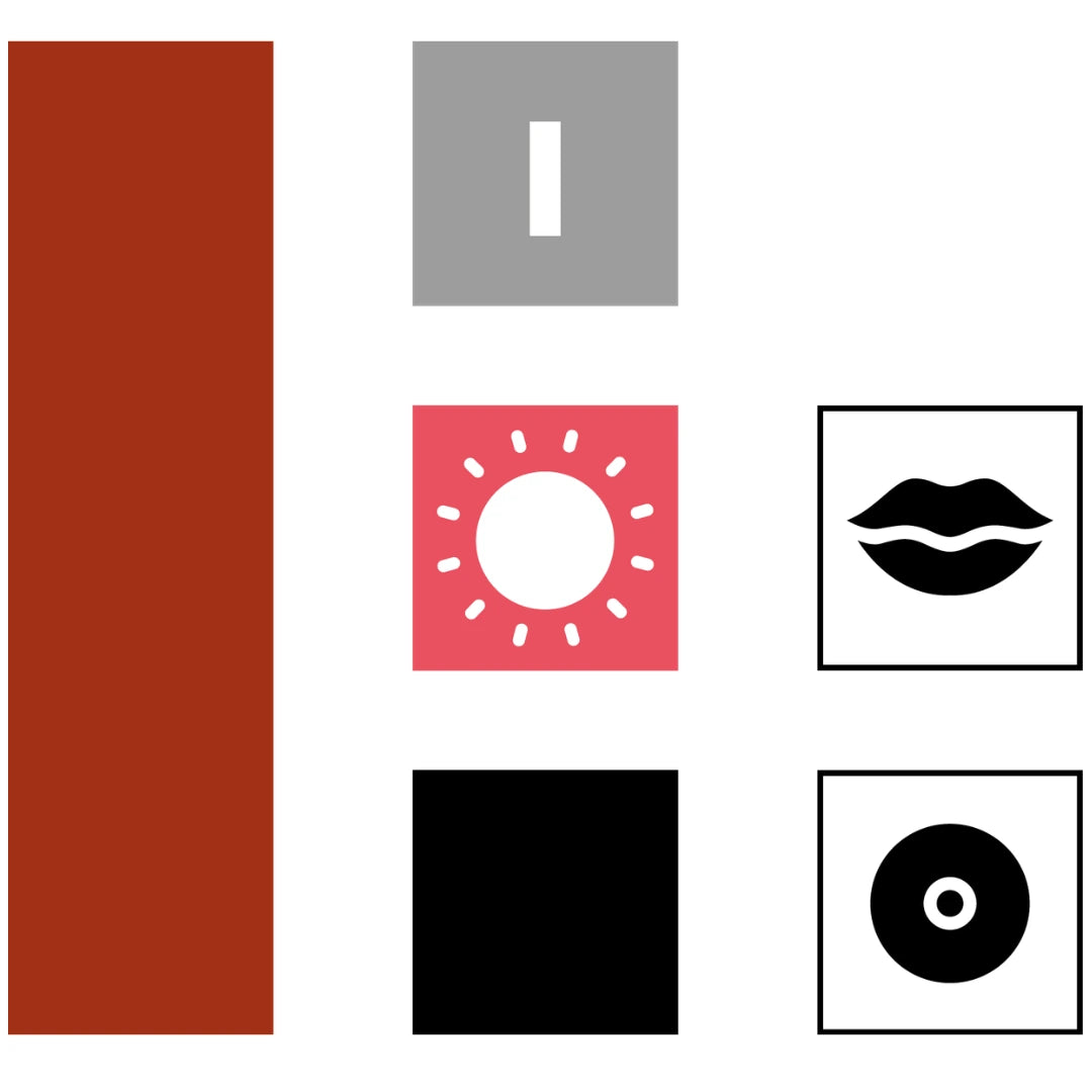Swiss Color 107 Terra: schema delle caratteristiche cromatiche e delle aree di utilizzo